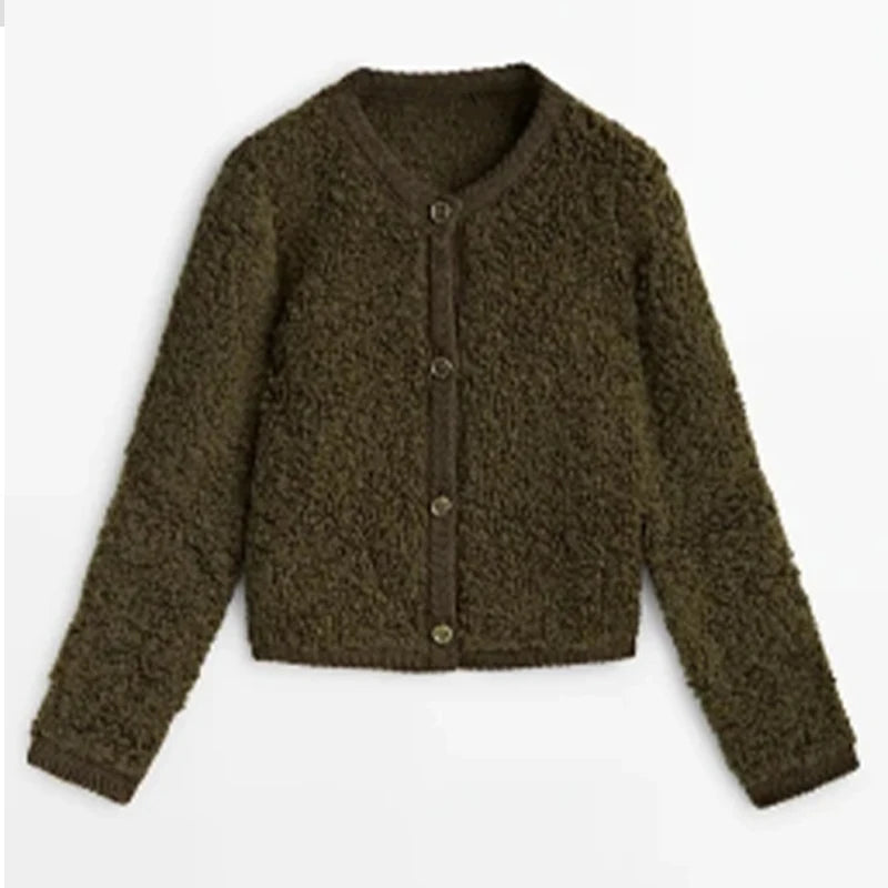 Lamswol Damesjas Met Lange Mouwen, Enkele Rij Knopen, Korte Jas 2024 Herfst Winter Mode, Strert Losse Damesoutwear